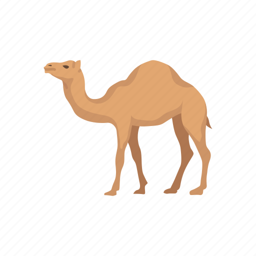 Animals, arabian camel, camel, domestic animal, dromedary, mammal icon - Download on Iconfinder