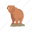 animals, bear, brown bear, kodiak bear, kodiak brown bear, mammal 