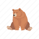 animal, bear, brown bear, kodiak bear, kodiak brown bear, mammal