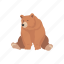 animal, bear, brown bear, kodiak bear, kodiak brown bear, mammal 