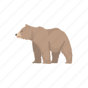 animal, bear, brown bear, grizzly, grizzly bear, mammal, wild bear