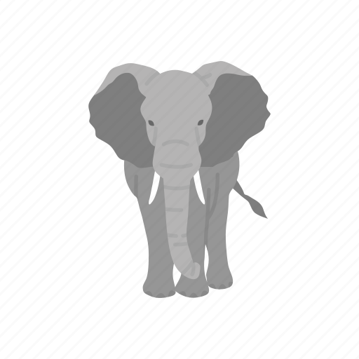 Animal, elephant, elephant tusk, keystone species, large mammals, mammals icon - Download on Iconfinder