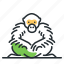 chimp, chimpanzee, monkey, sitting 