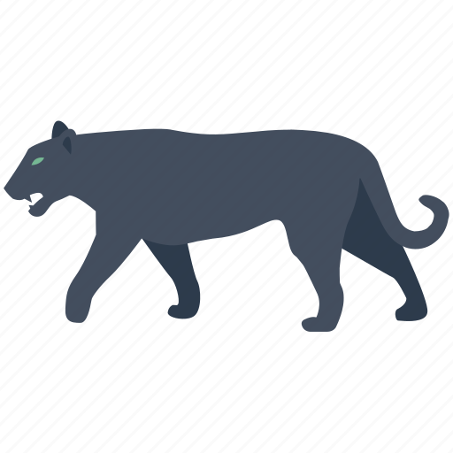 Carnivore, cat, panther, predator, puma, stalk icon - Download on Iconfinder