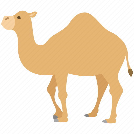 Camel, desert, dromedary, hump, ride, zoo icon - Download on Iconfinder