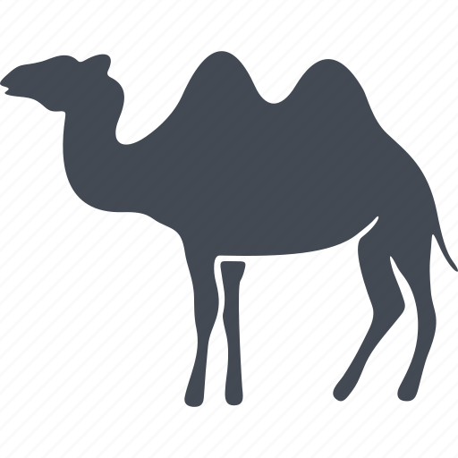Mammals, animal, camel, desert, hump icon - Download on Iconfinder
