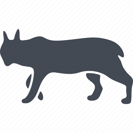 Mammals, animal, wild, lynx, predator icon - Download on Iconfinder