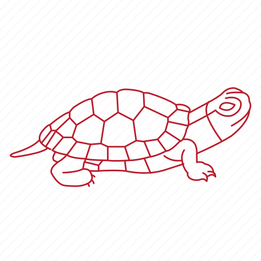 Aquarium, pet, reptile, shell, turtle, box icon - Download on Iconfinder