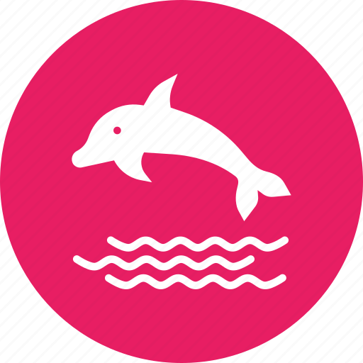 Dolphin, marine, sea, swim, fish icon - Download on Iconfinder