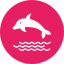dolphin, marine, sea, swim, fish 