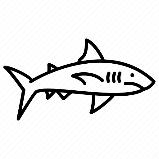 Shark, fish, animal, sea, ocean, predator, water icon - Download on Iconfinder