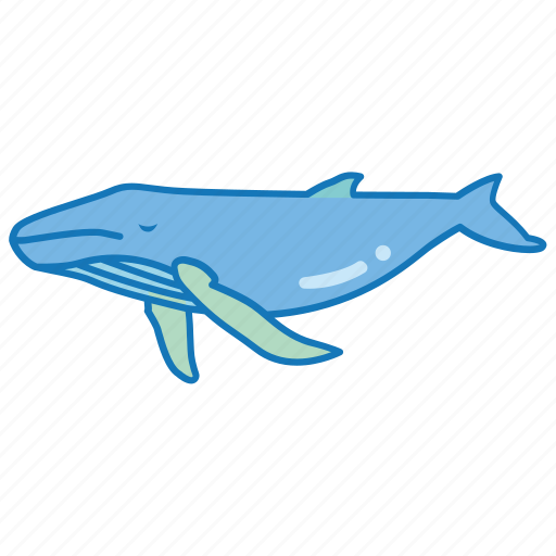 Blue Humpback Mammal Sea Southern Spotting Whale Icon Download On Iconfinder