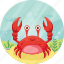 animal, cancer, crab, crustacean, marine, sea 