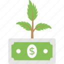 business growth, business success, dollar with plant, financial growth, profit