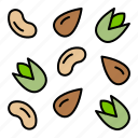 nuts, seeds, peanut