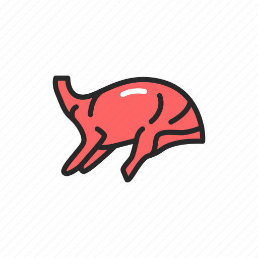 Food, fresh, meat, lamb, carcass icon - Download on Iconfinder