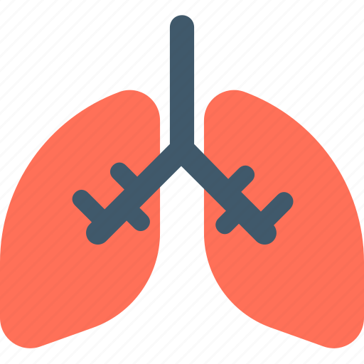 Body part, breathe, human lungs, lungs, pulmonology icon - Download on Iconfinder
