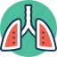 asthma, inhaling, lungs, respiratory organ, thorax 