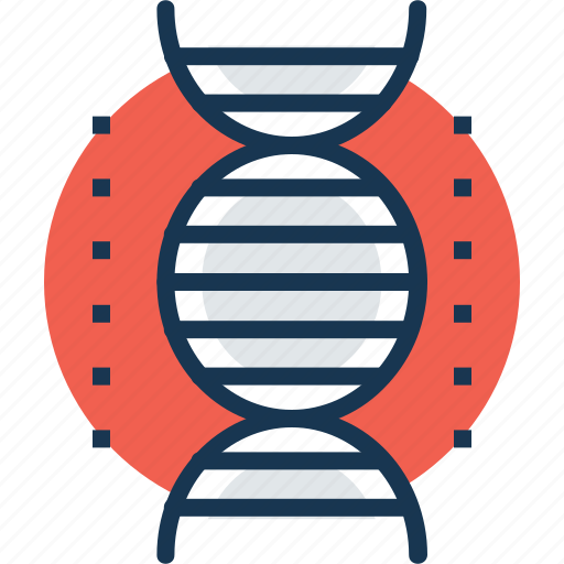 Chemical composition, dna, dna test, genes, genetics icon - Download on Iconfinder
