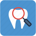 dental checkup, human tooth, magnifier, molar, tooth 