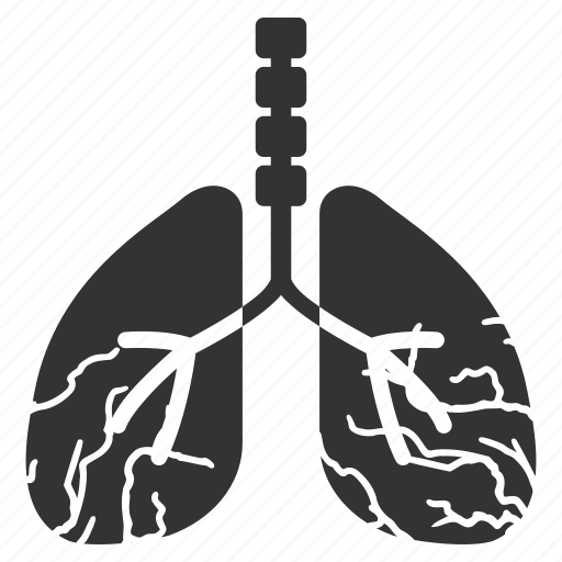 Anatomy, cancer, emphysema, illness, lung disease, respiration, tumor icon - Download on Iconfinder