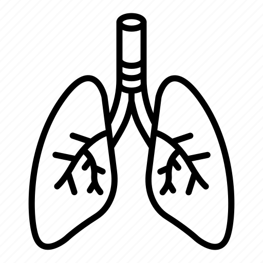Lungs, breath, organ, cybernetics, respiration icon - Download on Iconfinder