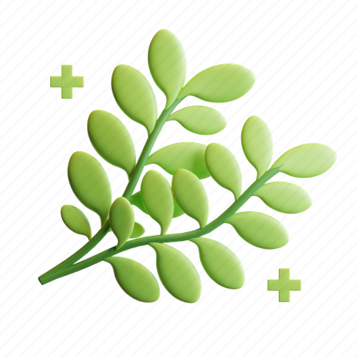 Herbal, natural, organic, ingredient, medicine, leaf, plant 3D illustration - Download on Iconfinder