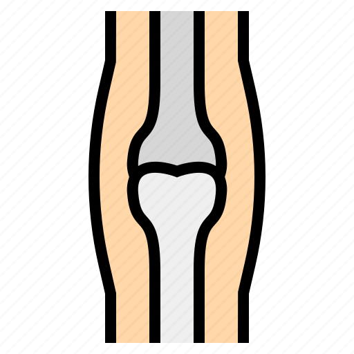 Bone, medical, osteoporosis icon - Download on Iconfinder