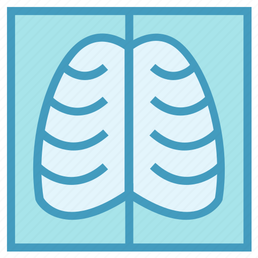 Anatomy, human, lungs, medical, ribs icon - Download on Iconfinder