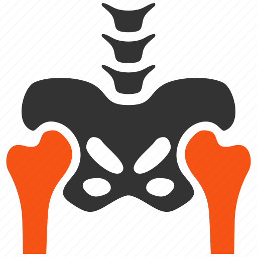 Pelvis, bones, coxal, hip, anatomy, body, fluorography icon - Download on Iconfinder