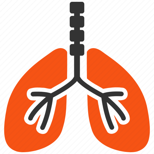 Respiratory, system, breath, lungs, anatomy, body, organ icon - Download on Iconfinder
