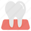 dental clinic, dental health, dentistry, human tooth, tooth 