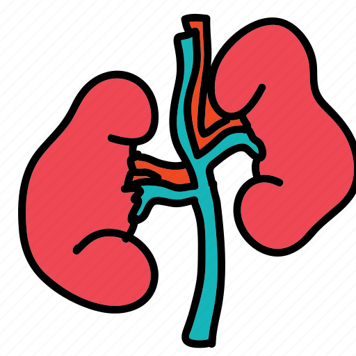 Ache, biology, health, kidneys, medical, pain icon - Download on Iconfinder