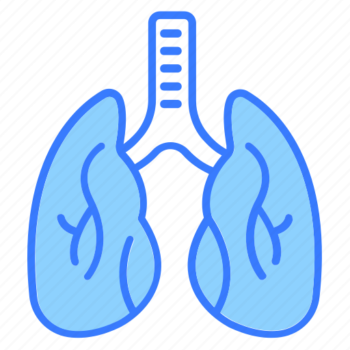Lungs, anatomy, lung, organ, healthcare icon - Download on Iconfinder