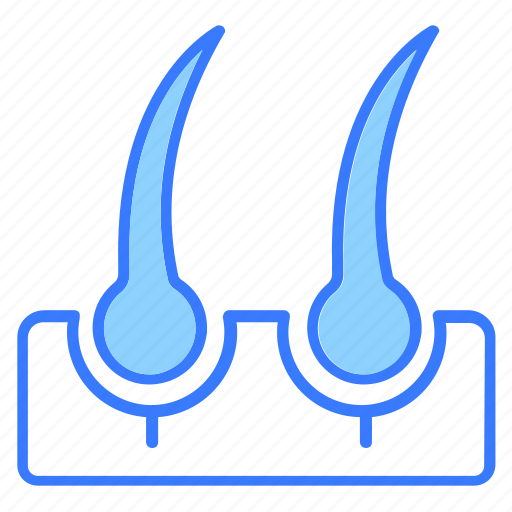 Hair follicle, follicle, growth, hair, treatment icon - Download on Iconfinder