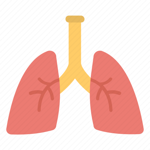 Asthma, inhaling, lungs, respiratory organ, thorax icon - Download on Iconfinder