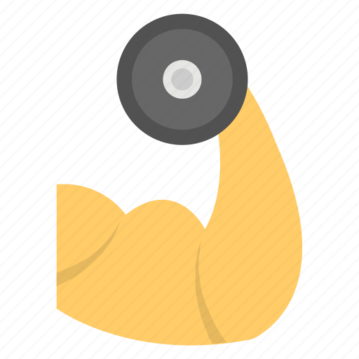 Exercise, fitness, gym trainer, muscles, weightlifting icon - Download on Iconfinder