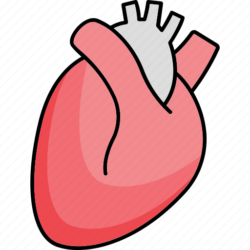 Anatomy, cardiology, human heart, body, organ icon icon - Download on Iconfinder