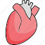anatomy, cardiology, human heart, body, organ icon 