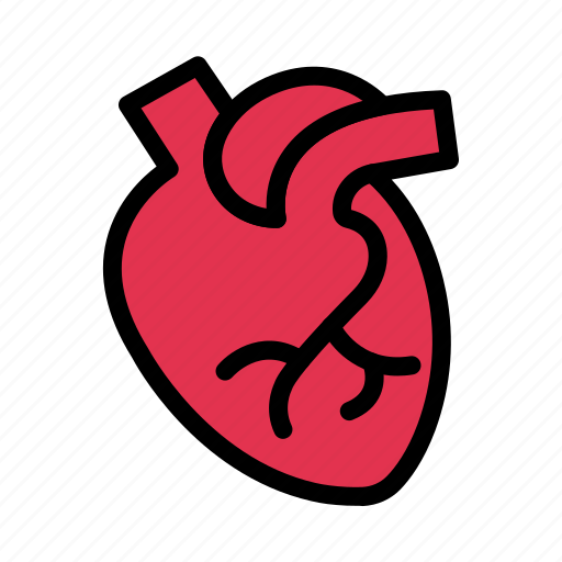 Organ, cardiology, heart, health, medical icon - Download on Iconfinder