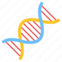dna, deoxyribonucleic acid, dna strand, genetic material, double helix strand