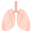 lungs, respiratory organ, human organ, internal anatomy, biology 