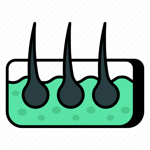 Hairs, follicle, keratin, chitin, collagen icon - Download on Iconfinder