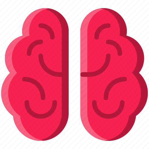 Brain, brainstorm, head, human, mind, organ, think icon - Download on Iconfinder
