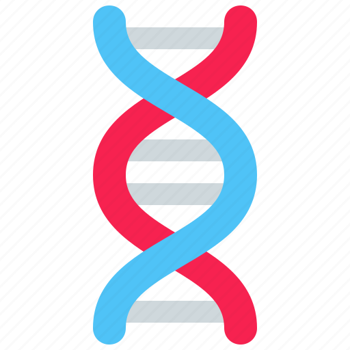 Dna, biology, genetic, genetics, helix, strand icon - Download on Iconfinder