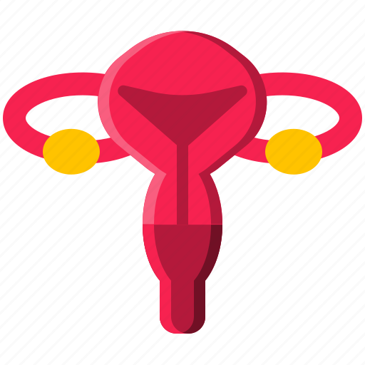 Female, reproductive, anatomy, organ, woman icon - Download on Iconfinder