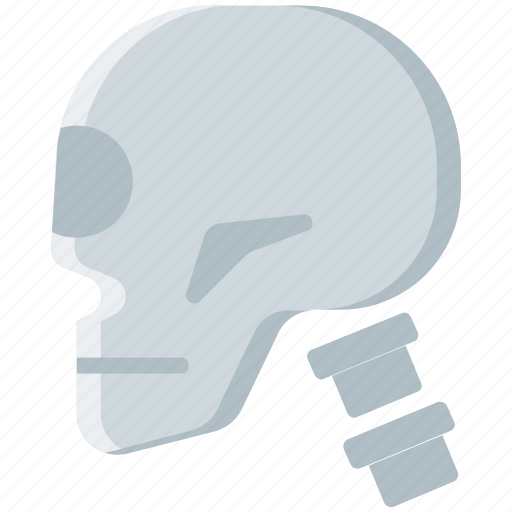 Bone, head, skeleton, skull icon - Download on Iconfinder