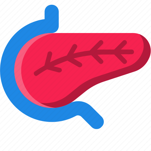Pancreas, anatomy, body, human, organ, part icon - Download on Iconfinder