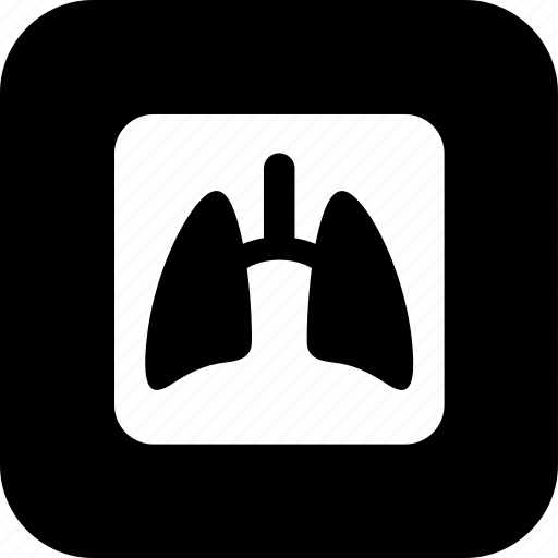 Healthcare, lungs, medecine, medical, medical exam, test, x-ray icon - Download on Iconfinder