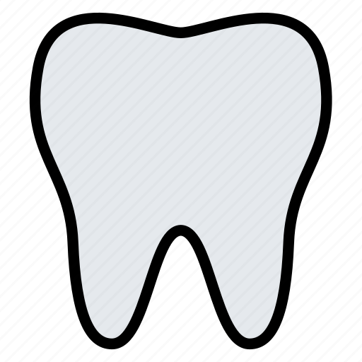 Anatomy, dental, dentist, medical, tooth icon - Download on Iconfinder